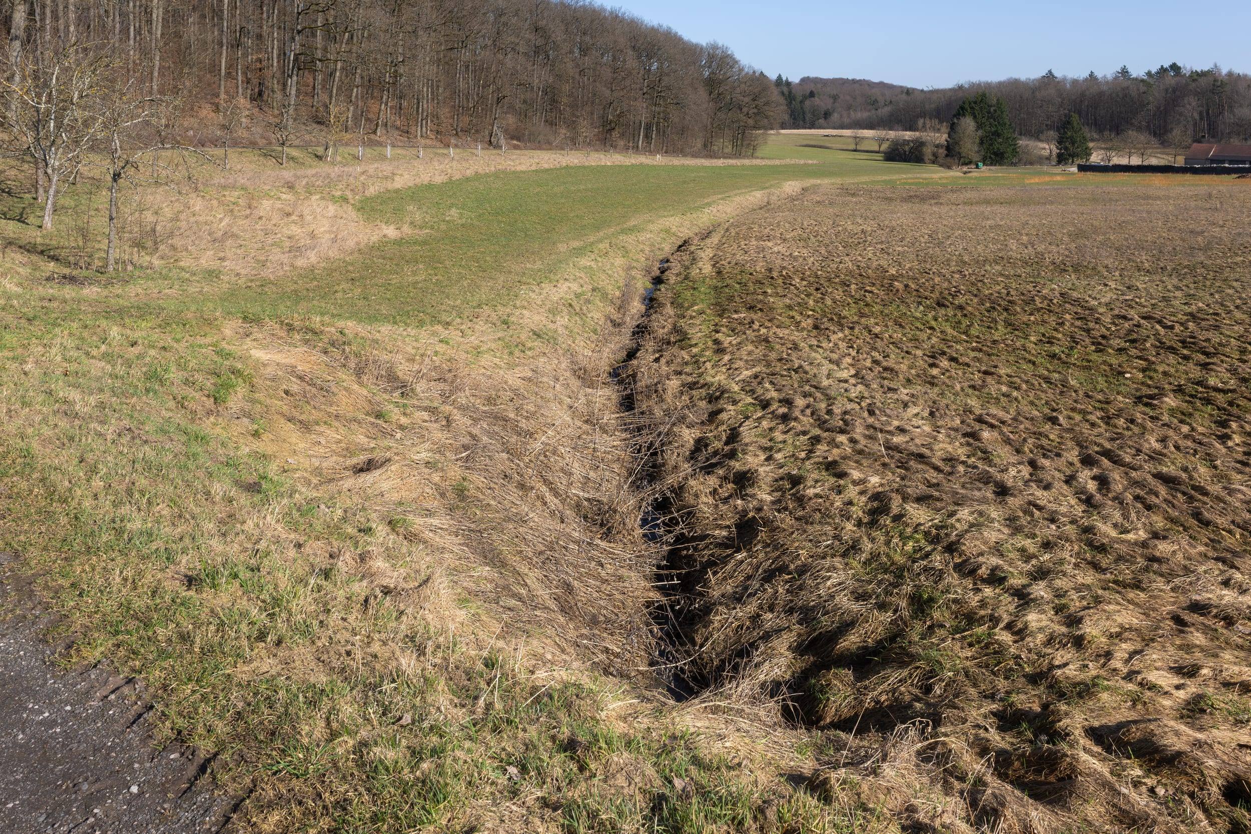 Der junge Ebelsbach in der offenen Landschaft nordwestlich von Hofstetten